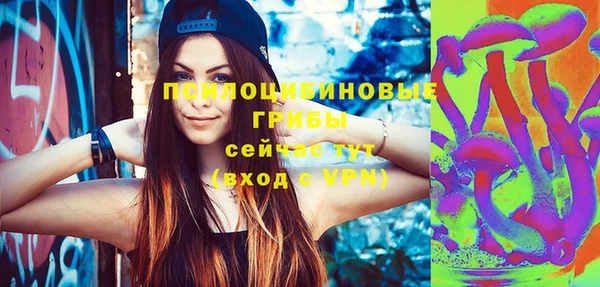 винт Алзамай