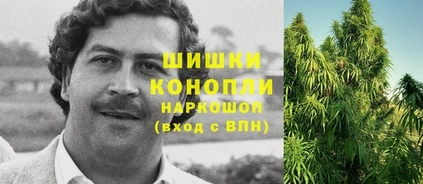метадон Алексин