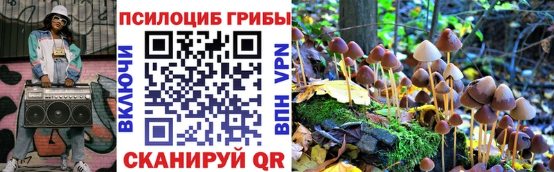 продажа наркотиков  Ивдель  Галлюциногенные грибы прущие грибы 