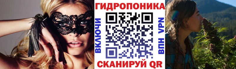 Конопля семена  OMG онион  Ивдель 